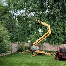 Best Aeration Services  in Rancho Mirage, CA