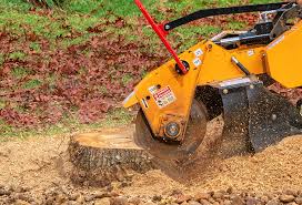 Best Lawn Irrigation Installation and Maintenance  in Rancho Mirage, CA